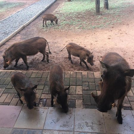 בלה-בלה Makhato Bush Lodge 111 מראה חיצוני תמונה